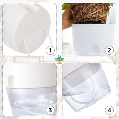 Self Watering Pot